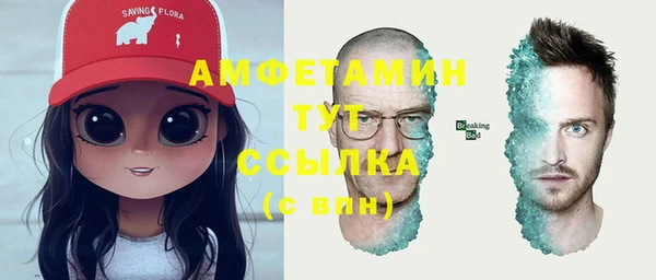 молекула духа Алзамай