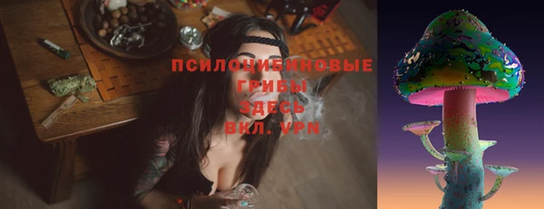 гидра Пестово
