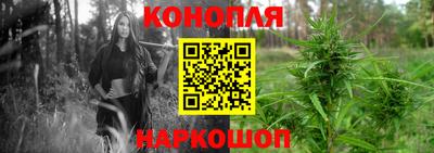 Альфа ПВП Балаково