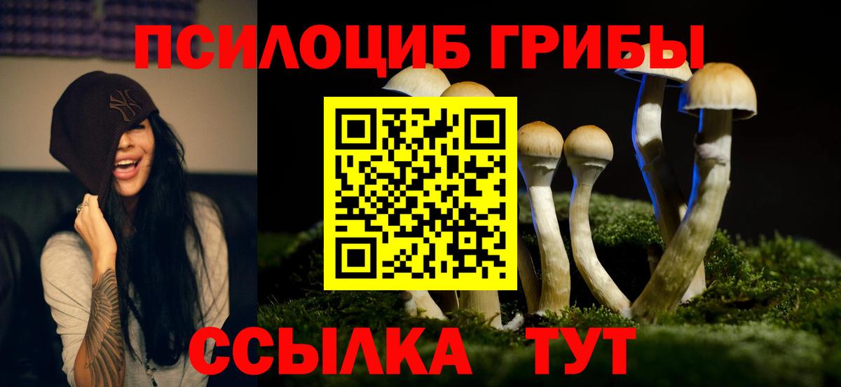 Галлюциногенные грибы Psilocybe  Галлюциногенные грибы MAGIC MUSHROOMS  Белогорск 