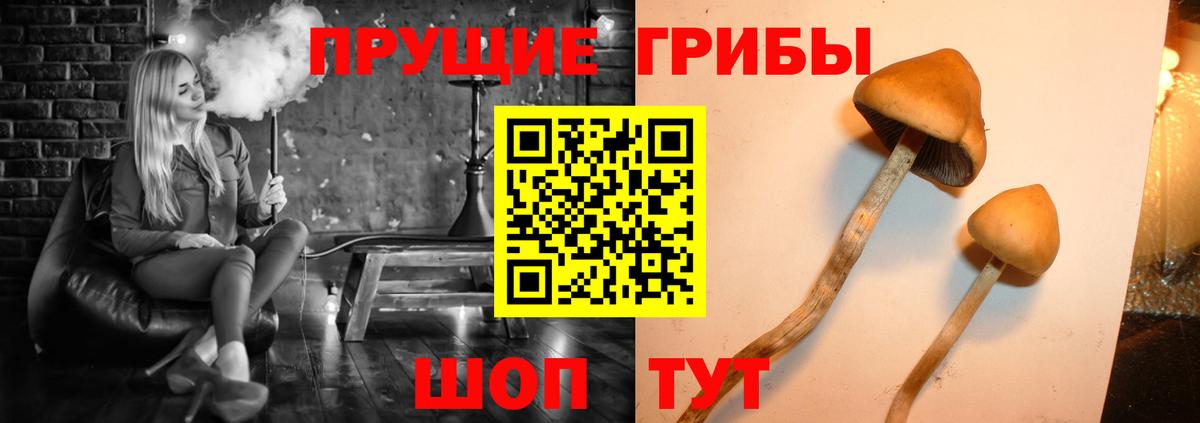 Псилоцибиновые грибы мухоморы Белогорск